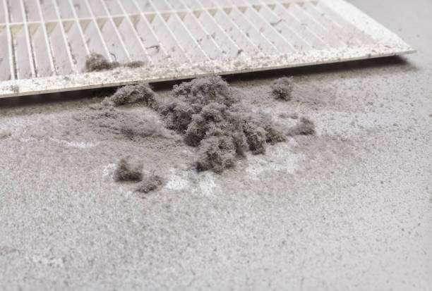 Best Best Air Duct Cleaning Company  in Mantachie, MS
