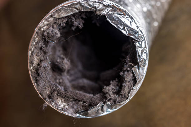 Best Ventilation Cleaning Services  in Mantachie, MS