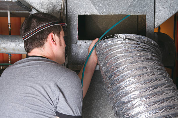 Best Air Duct Sanitizing Services  in Mantachie, MS