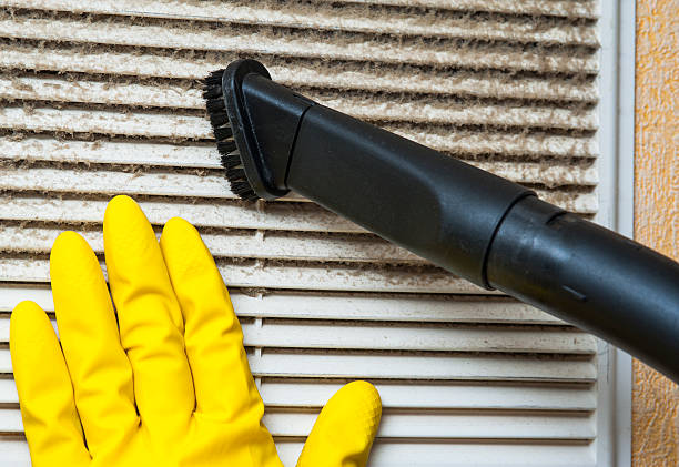 Best Local Air Duct Cleaning Services  in Mantachie, MS